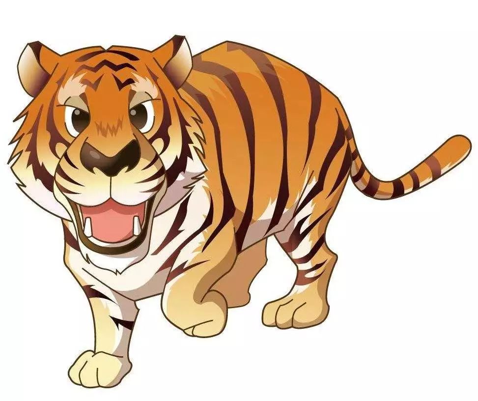 2025年虎年生肖运势,2025年各生肖吉利排名